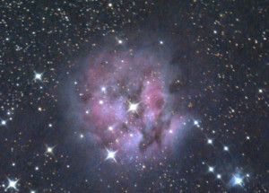 Selyemgub-kd (Hatty)